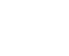 ÚNICO